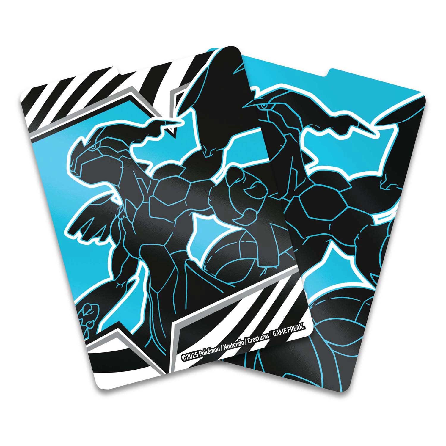 SV10,5 Black Bolt Elite Trainer Box Zekrom