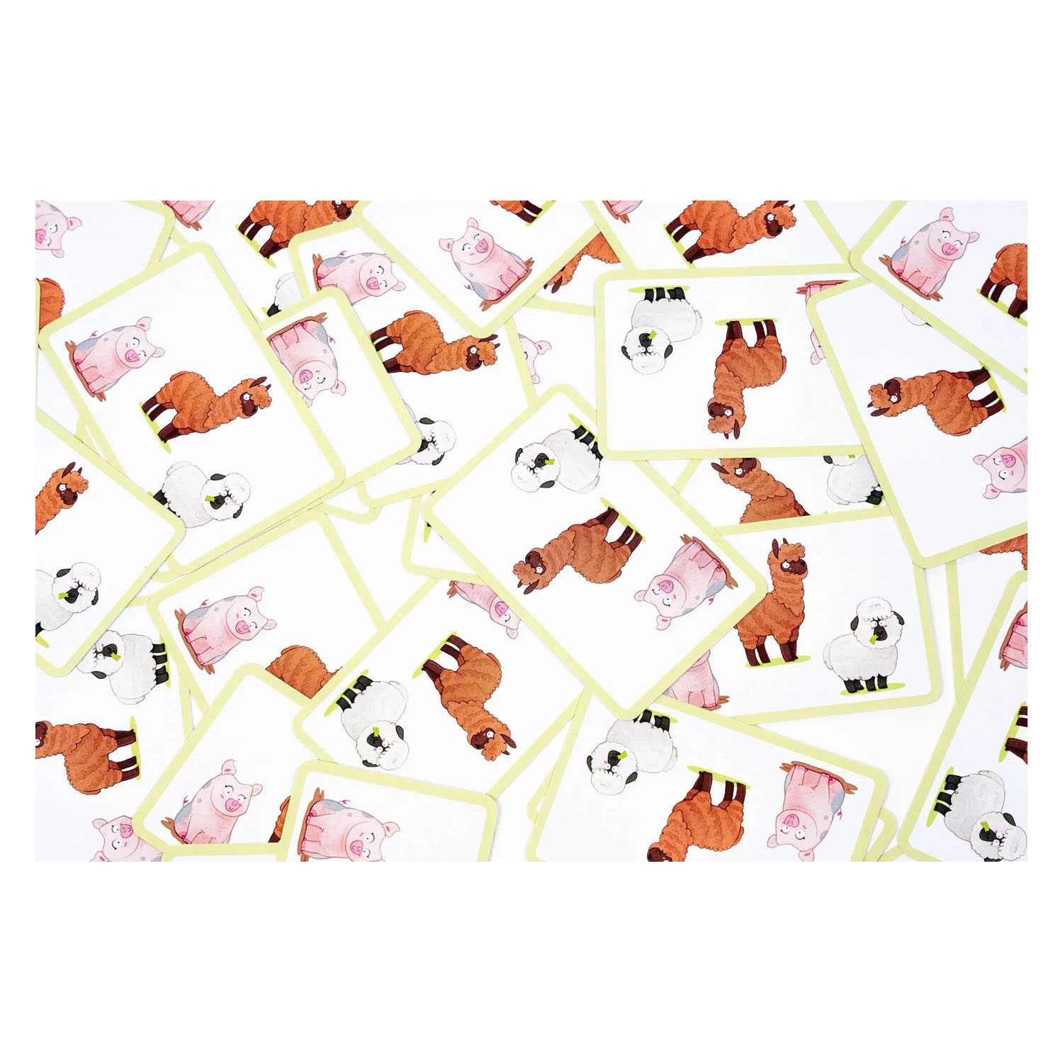 Troupe du jeu de cartes KiwiZou