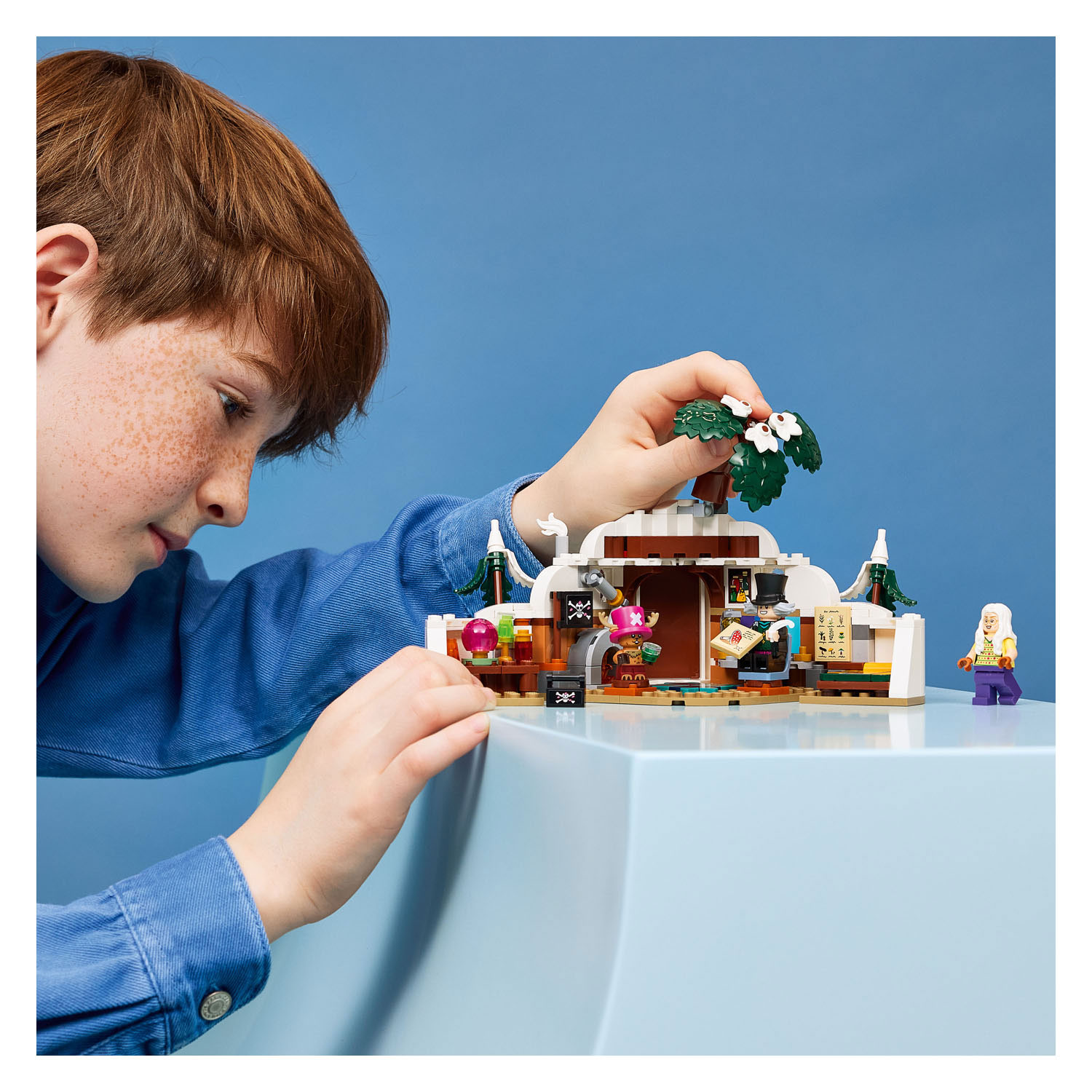 LEGO One Piece 75641 De schuilplaats van Dr. Hiriluk