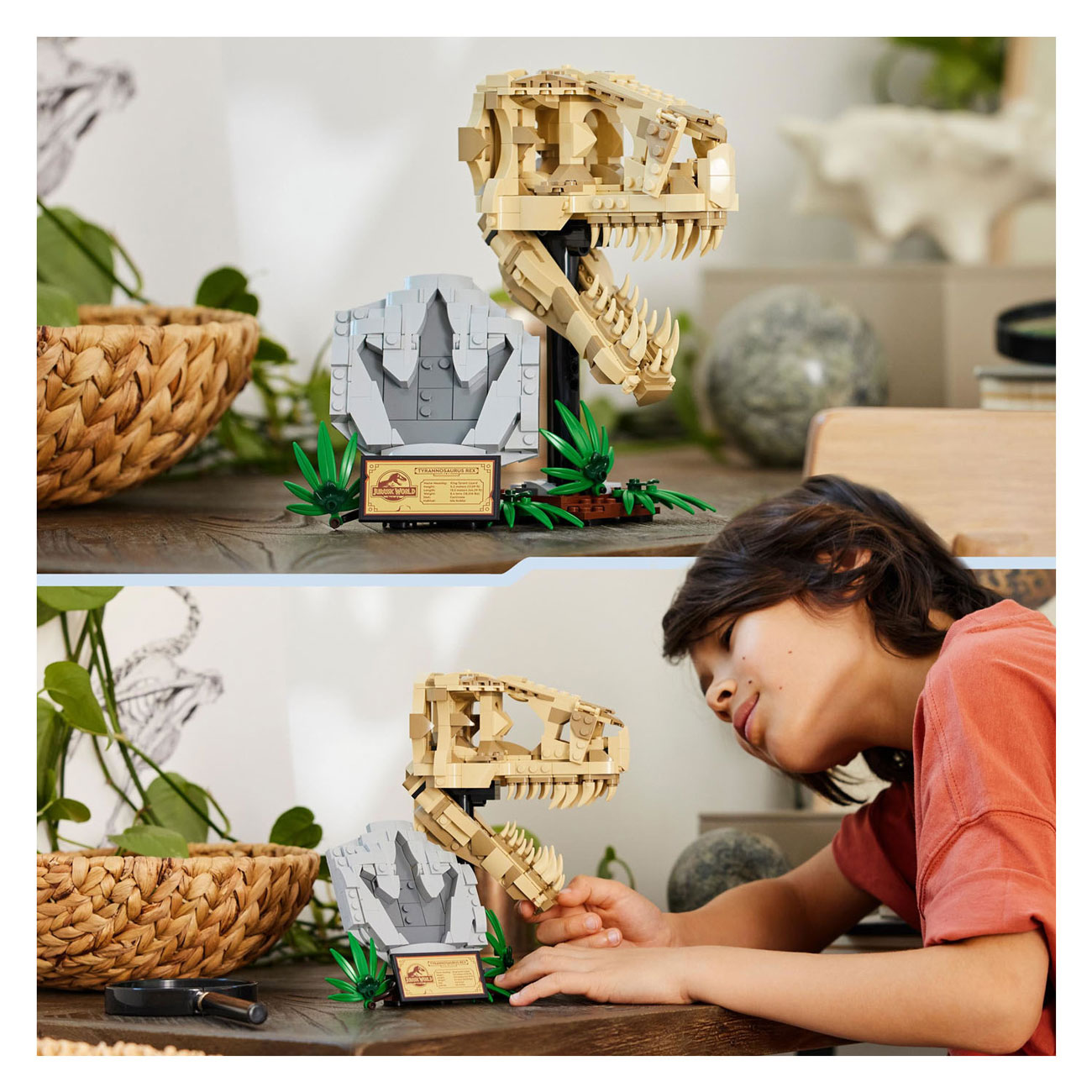 LEGO Jurassic World 76964 Dinosaurierfossilien: T-Rex-Schädel