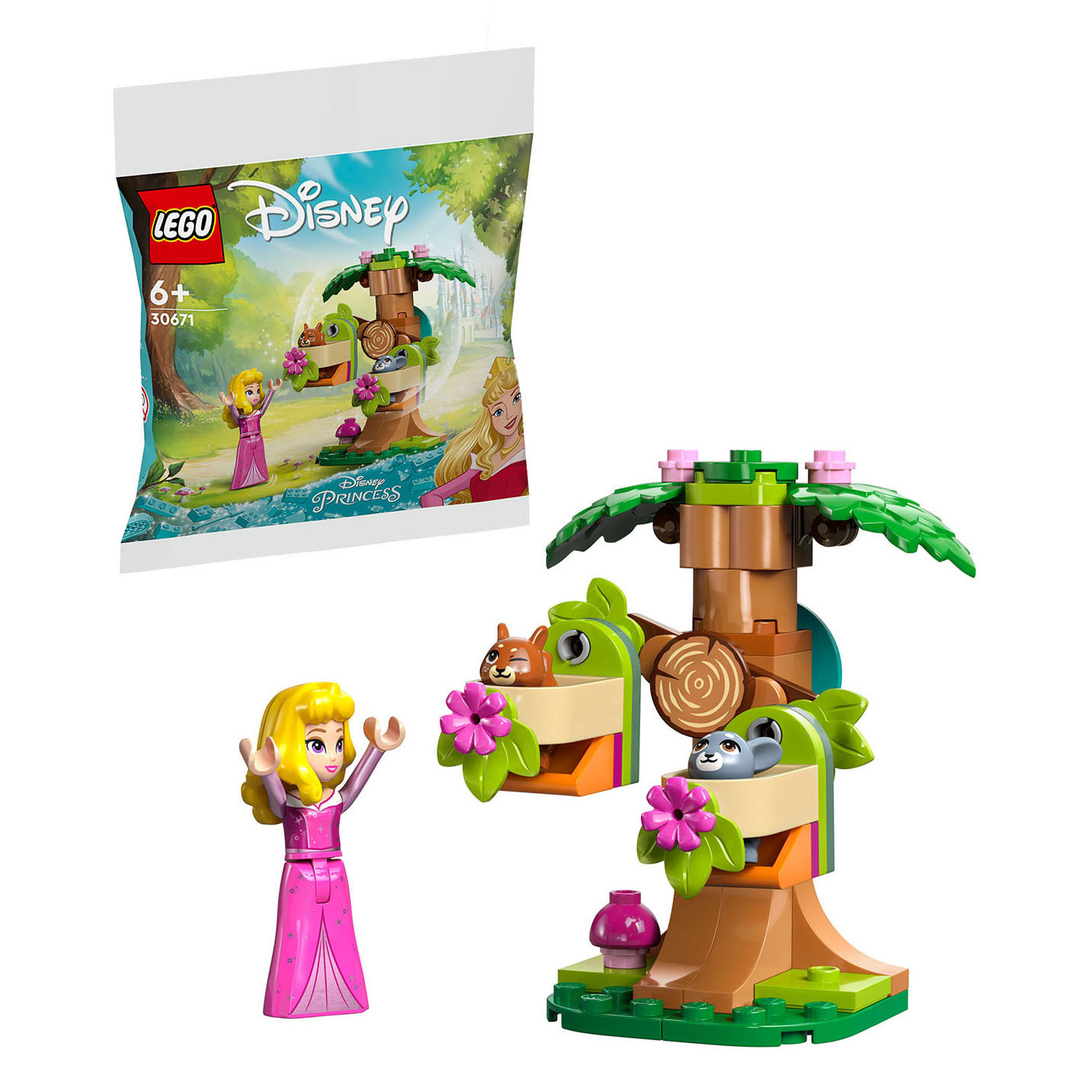 LEGO Disney 30671 L'aire de jeu d'Aurora dans la forêt