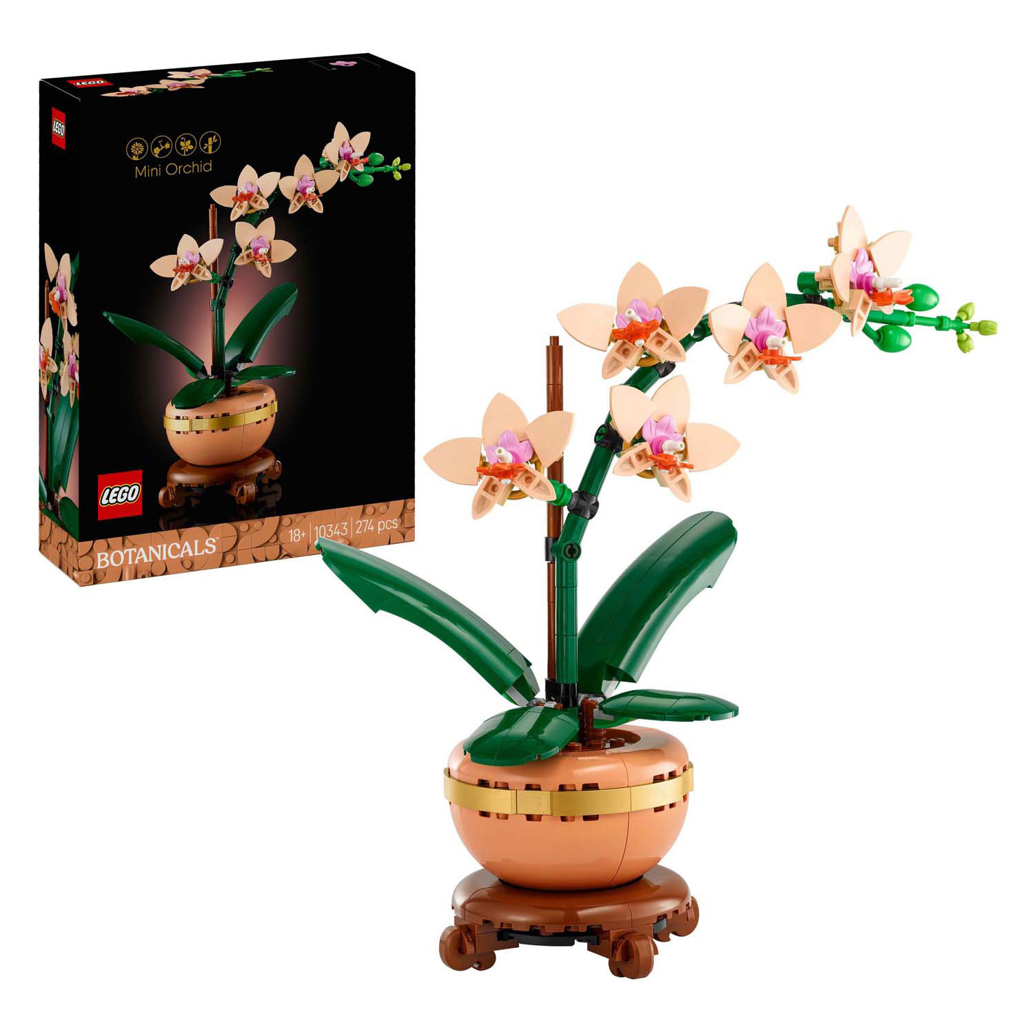 LEGO Botanicals 10343 Mini-Orchidee