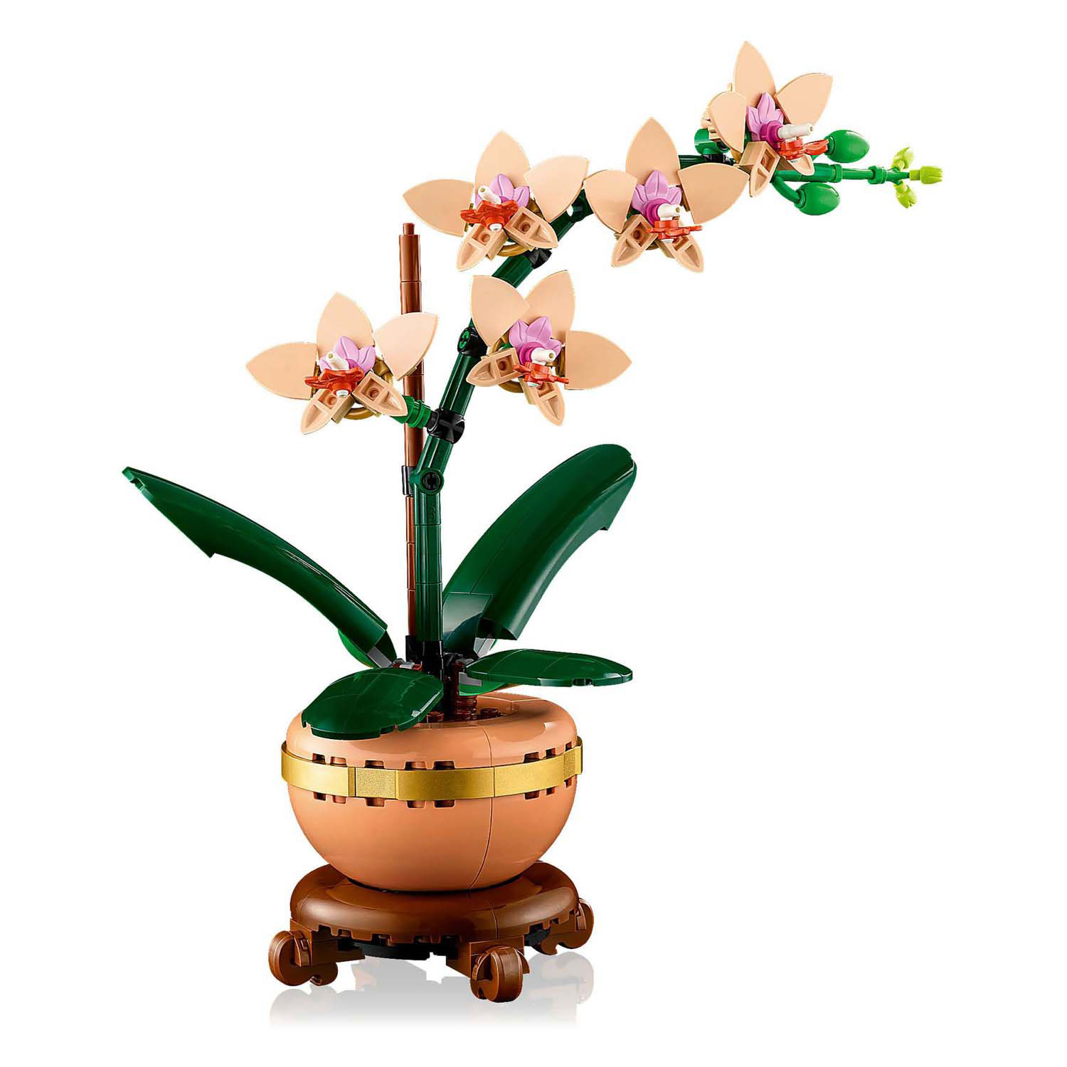 LEGO Botanicals 10343 Mini-Orchidee