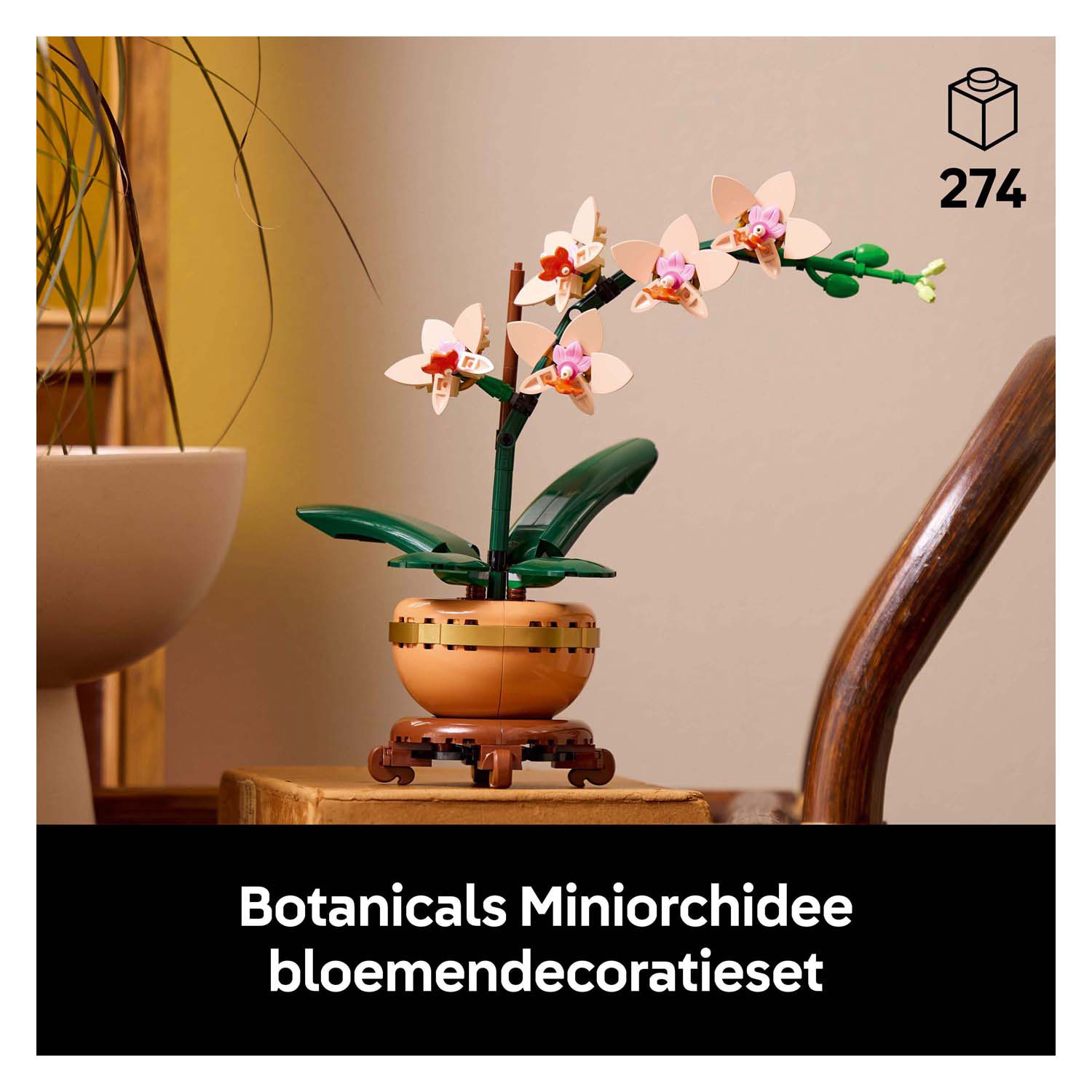 LEGO Botanicals 10343 Mini-Orchidee