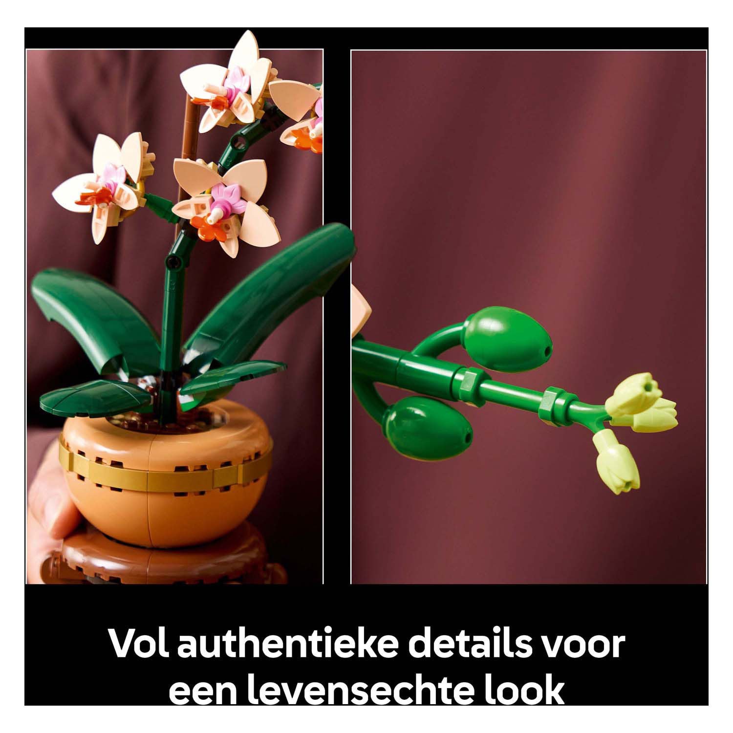 LEGO Botanicals 10343 Mini-Orchidee