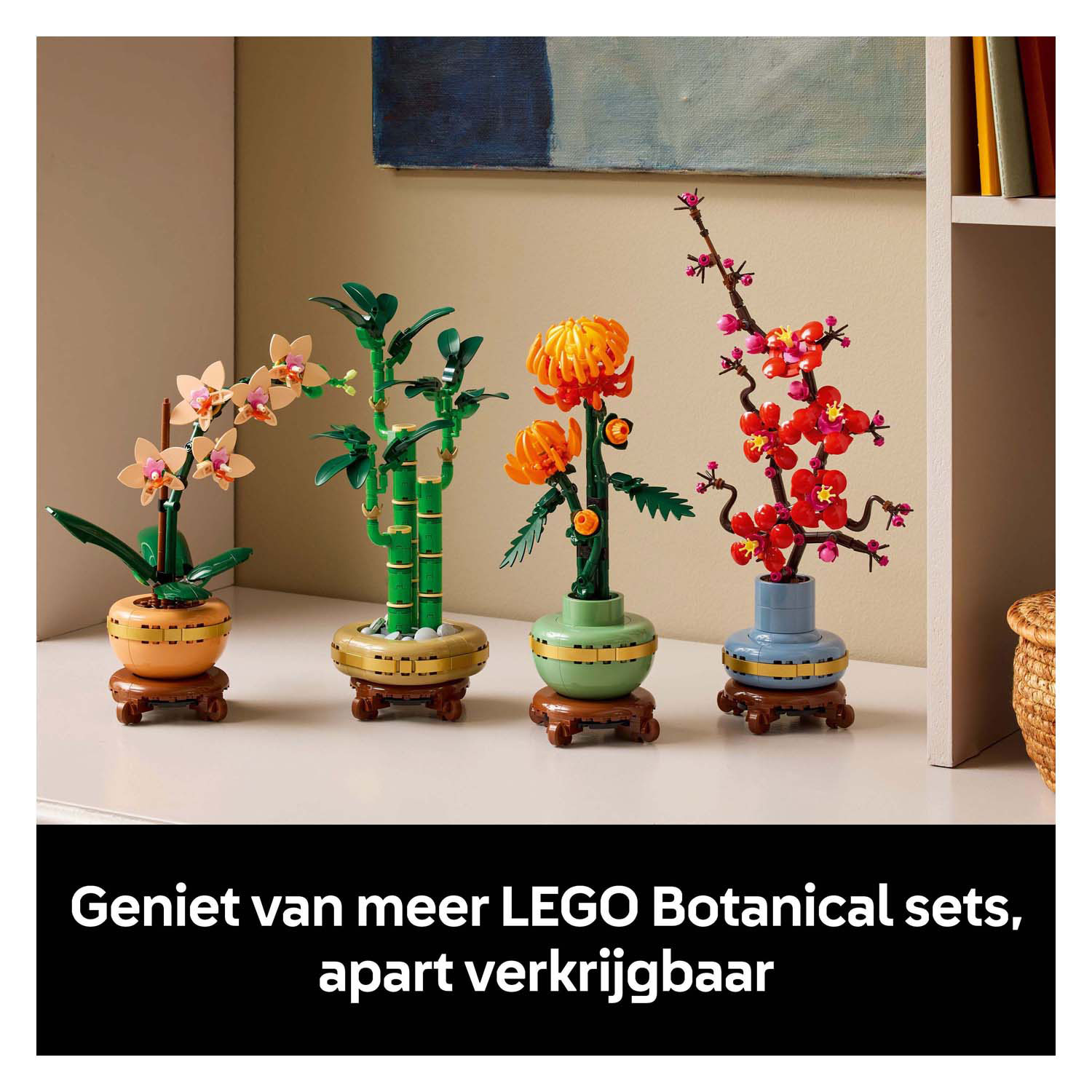 LEGO Botanicals 10343 Mini-Orchidee