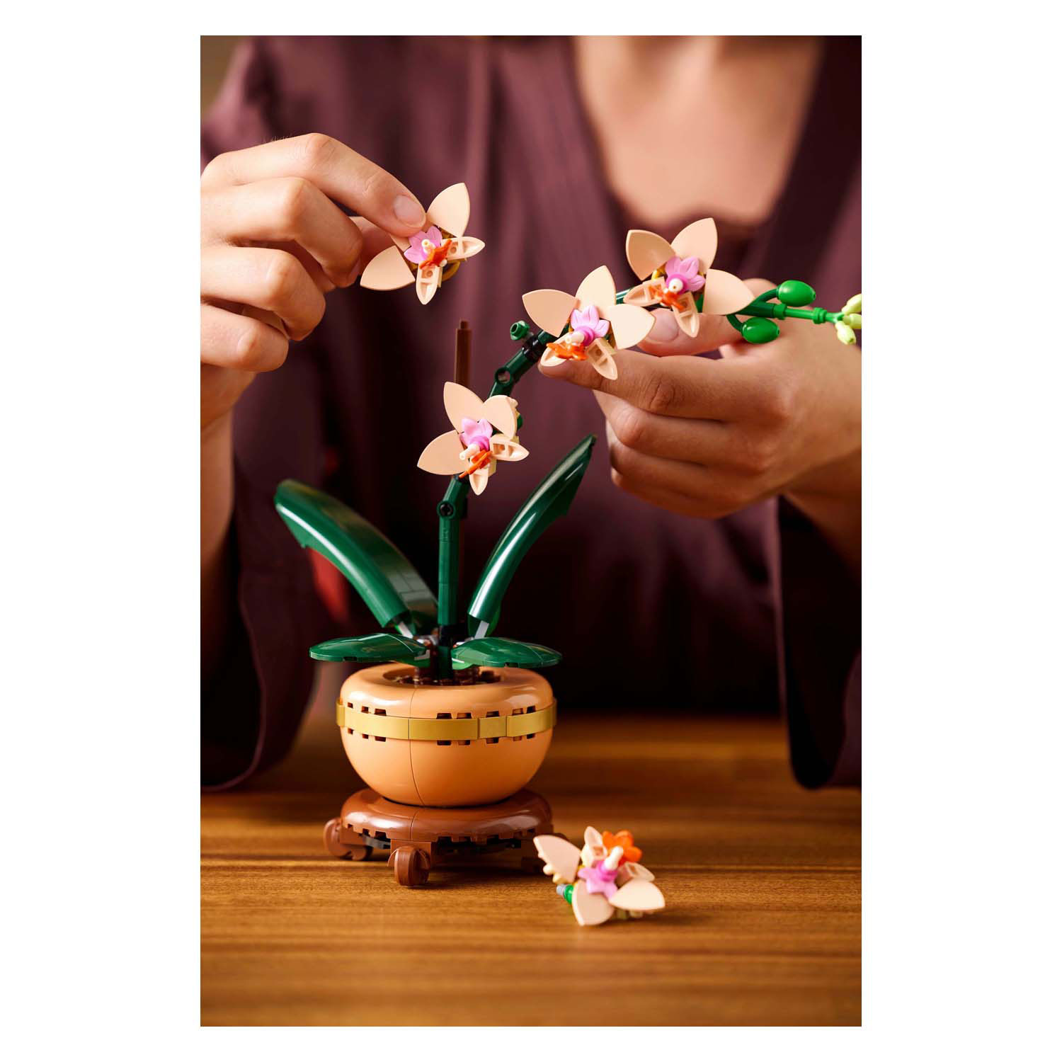 LEGO Botanicals 10343 Mini-Orchidee