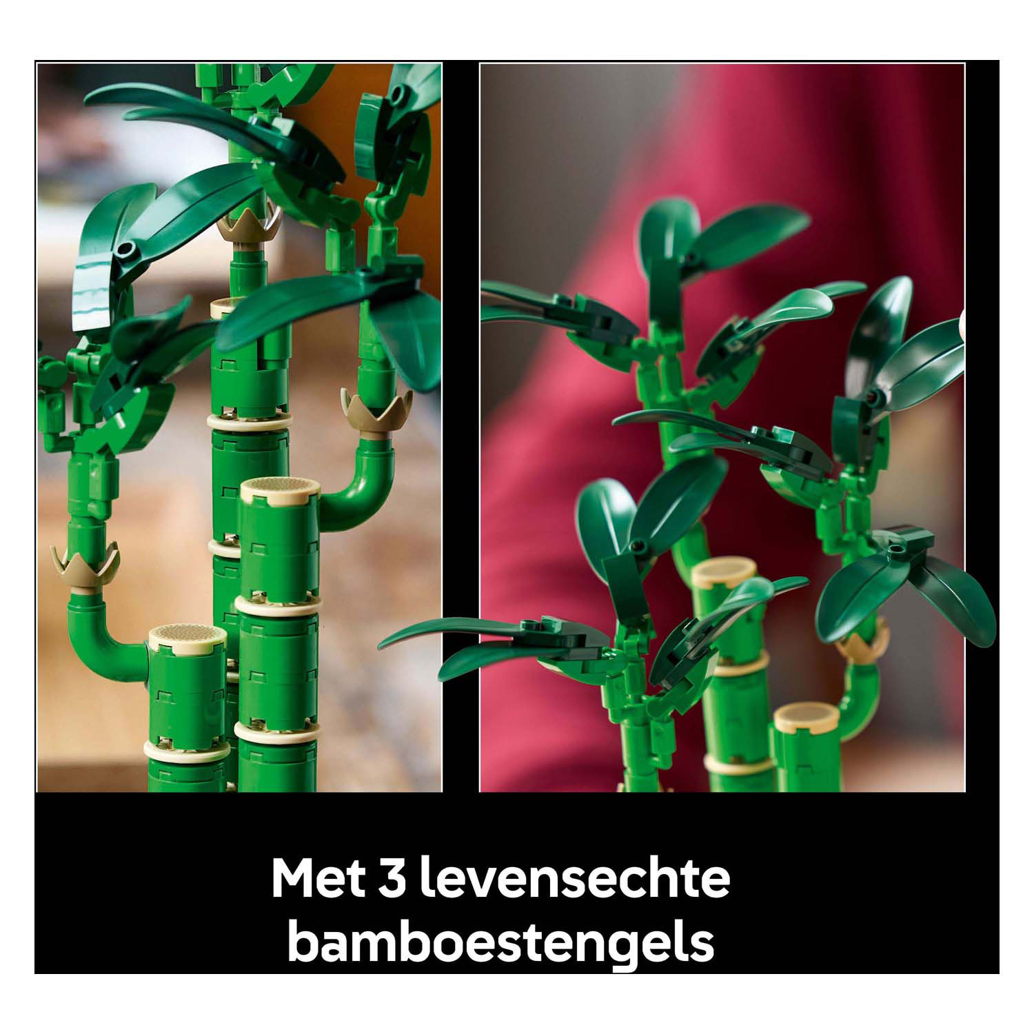 LEGO Botanicals 10344 Bambus