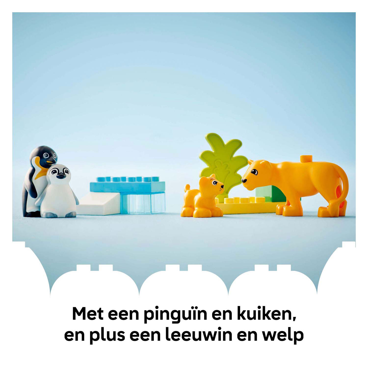 LEGO Duplo Town 10442 Wildtierfamilien: Pinguine und Löwen