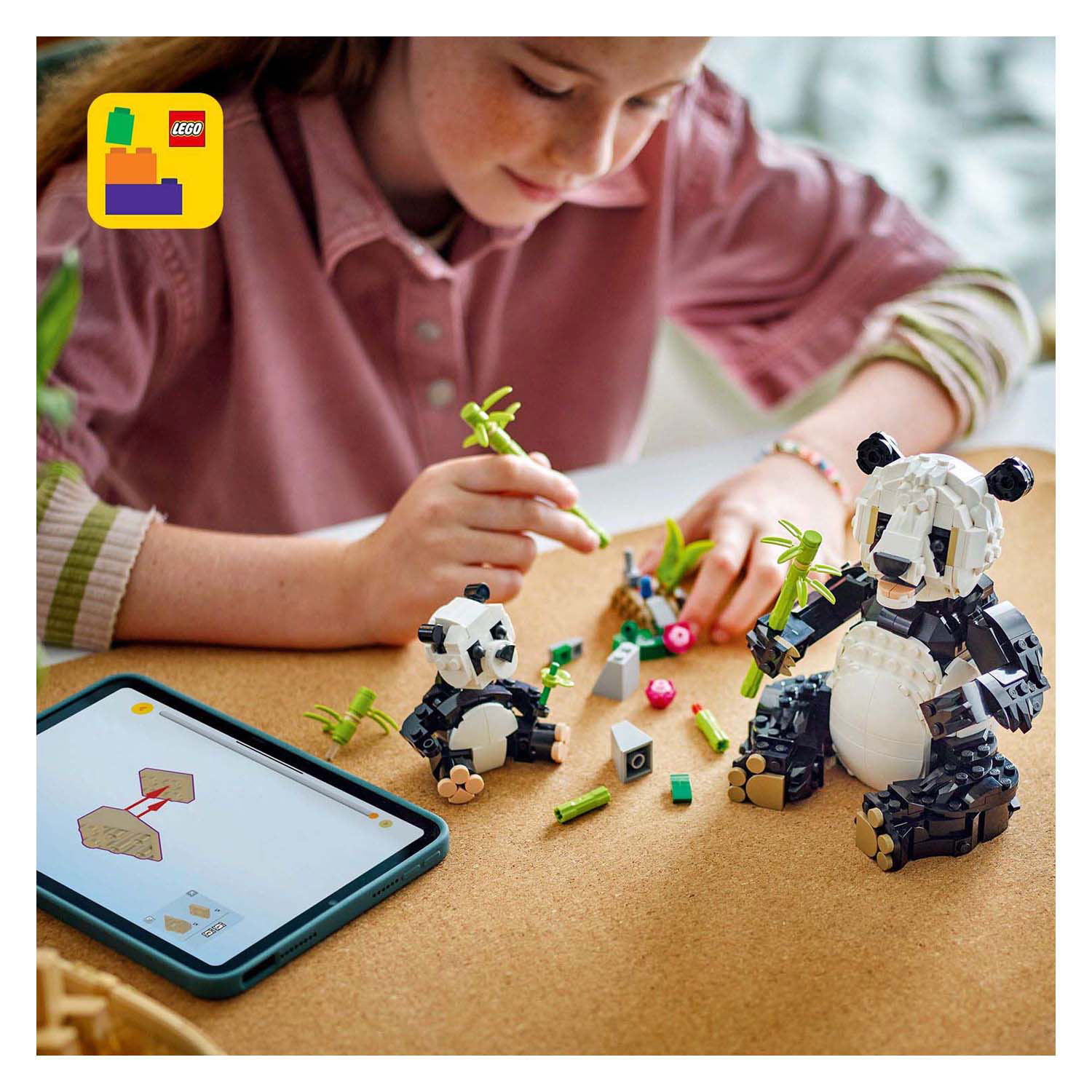 LEGO Creator 31165 Wilde Tiere: Panda-Familie