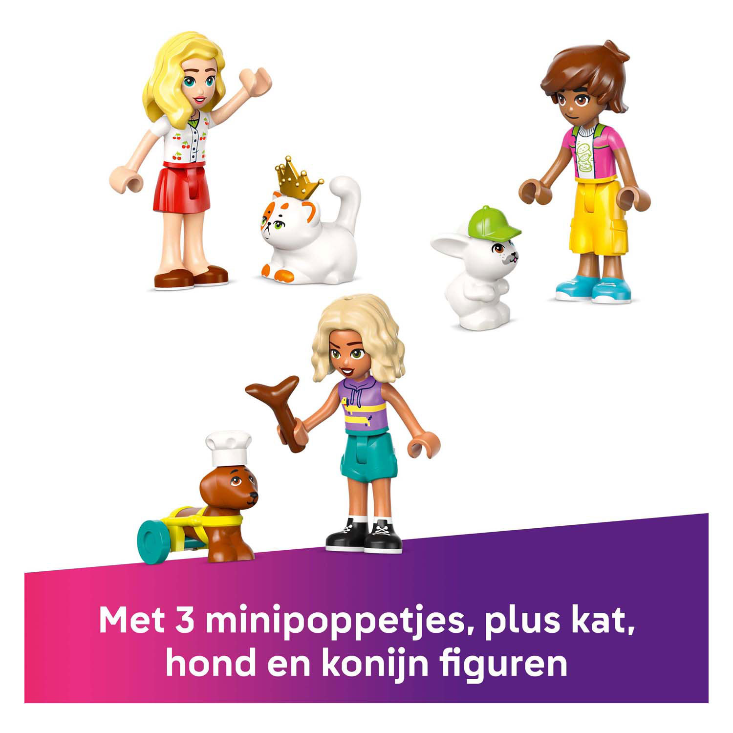 LEGO Friends 42650 Winkel met Dierenaccessoires