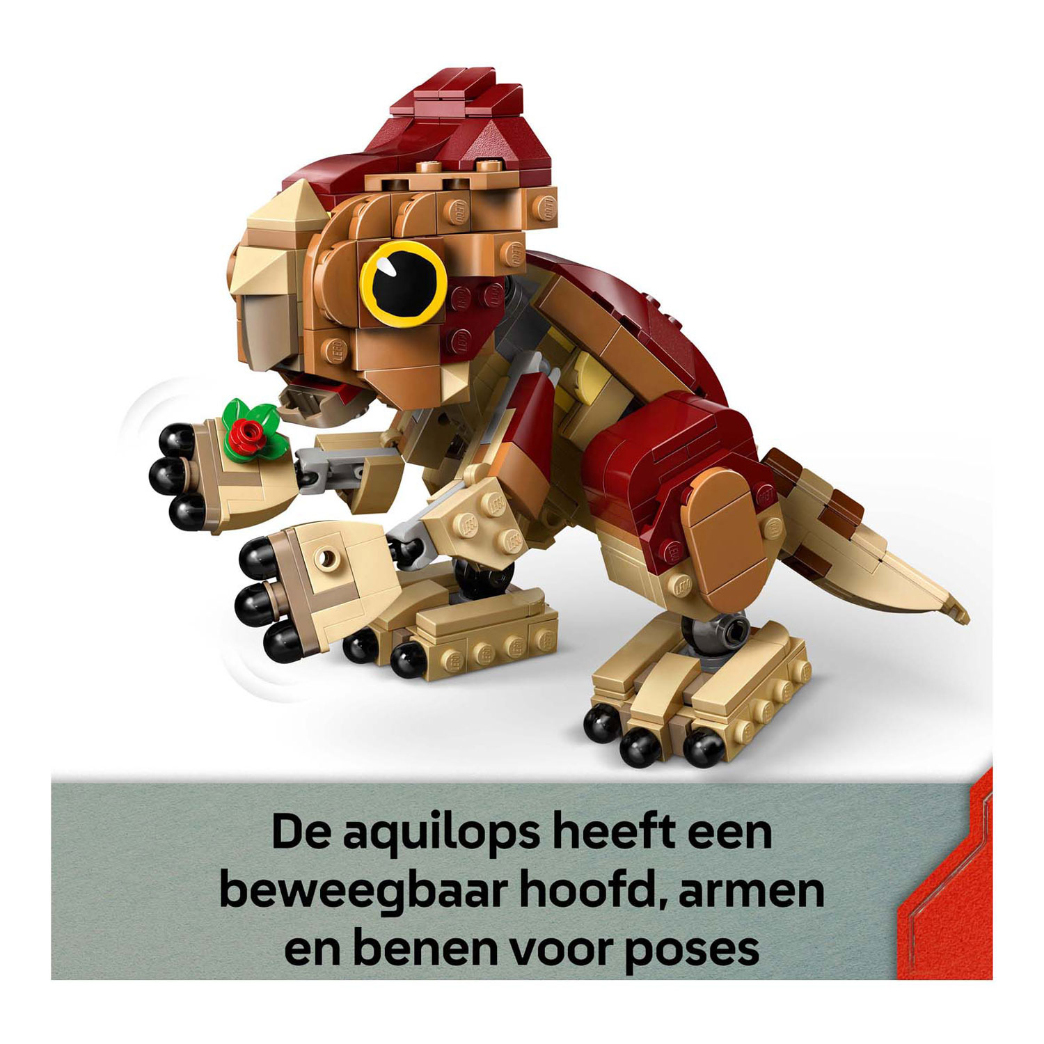 LEGO Jurassic World 76970 Bébé dinosaure Dolores : Aquilops