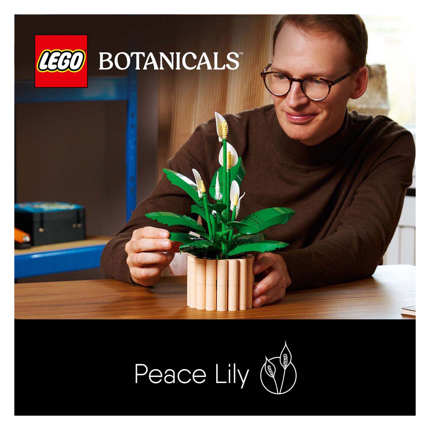 LEGO Botanicals 11504 Lepelplant Bloemen