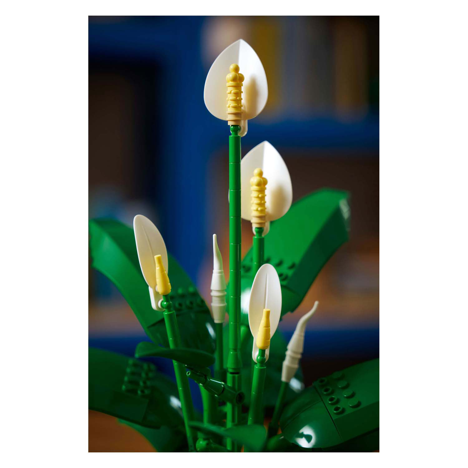 LEGO Botanicals 11504 Lepelplant Bloemen