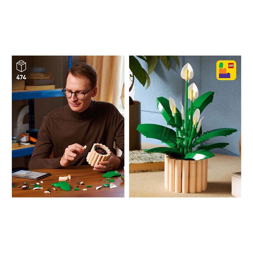 LEGO Botanicals 11504 Lepelplant Bloemen