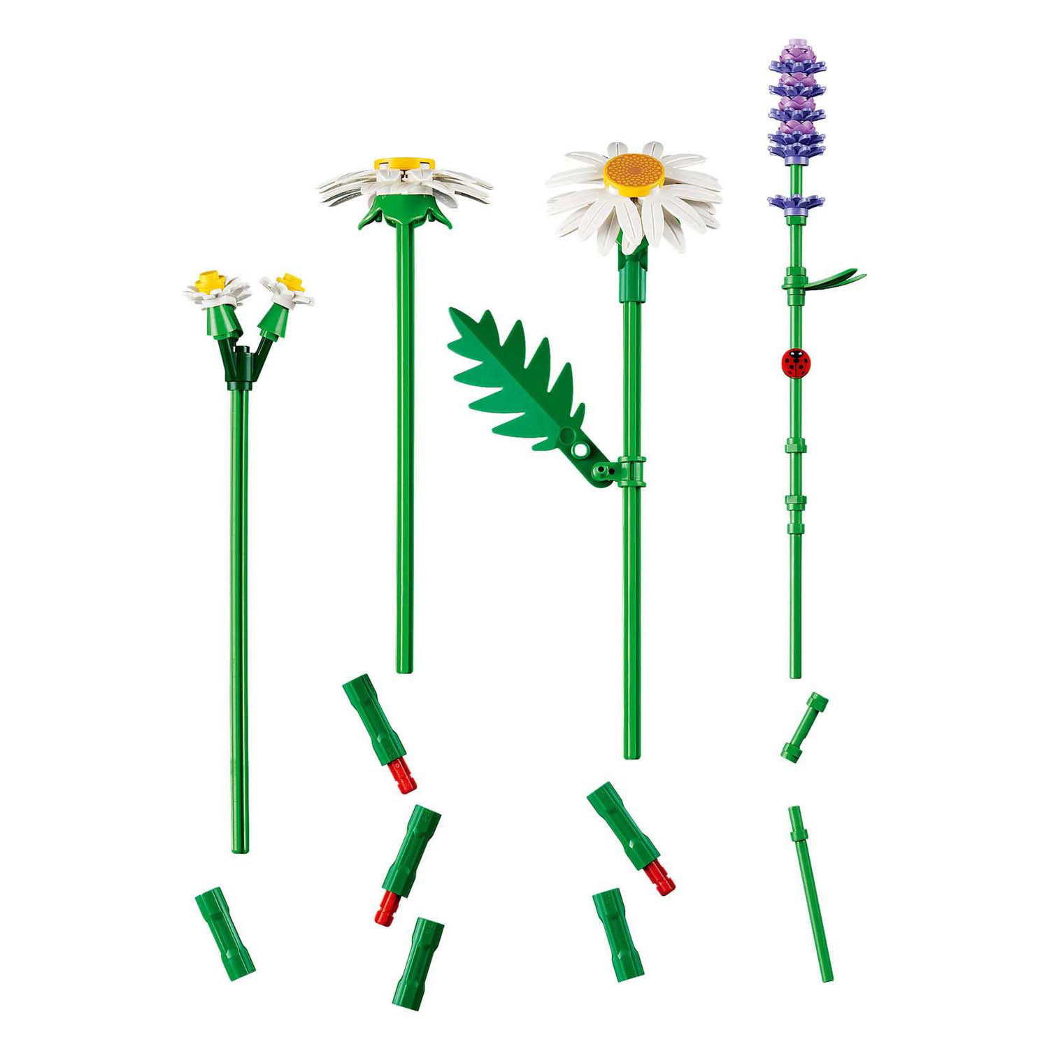 LEGO Botanicals 11508 Madeliefjes Bloemen