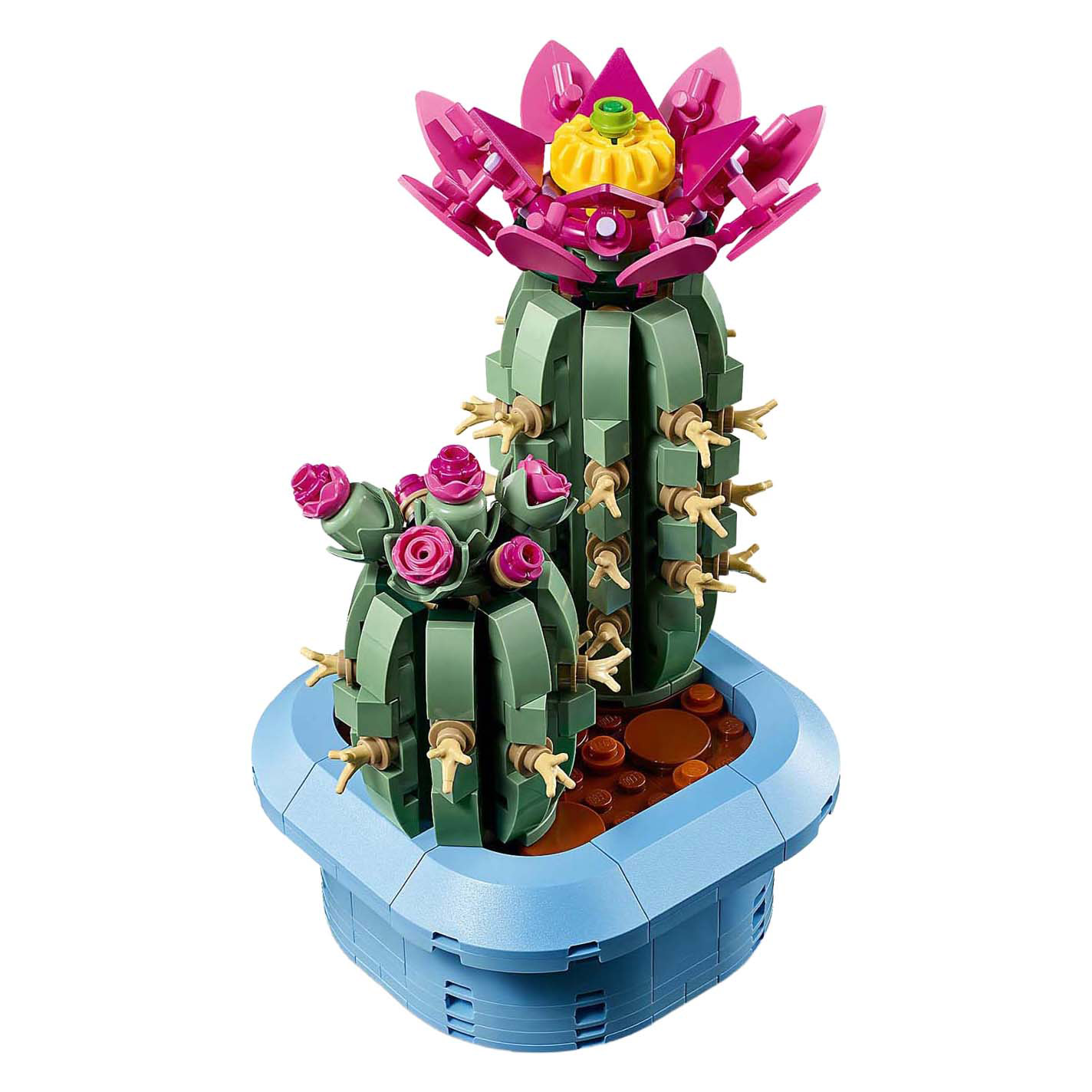 LEGO Botanicals 11509 Bloeiende cactus