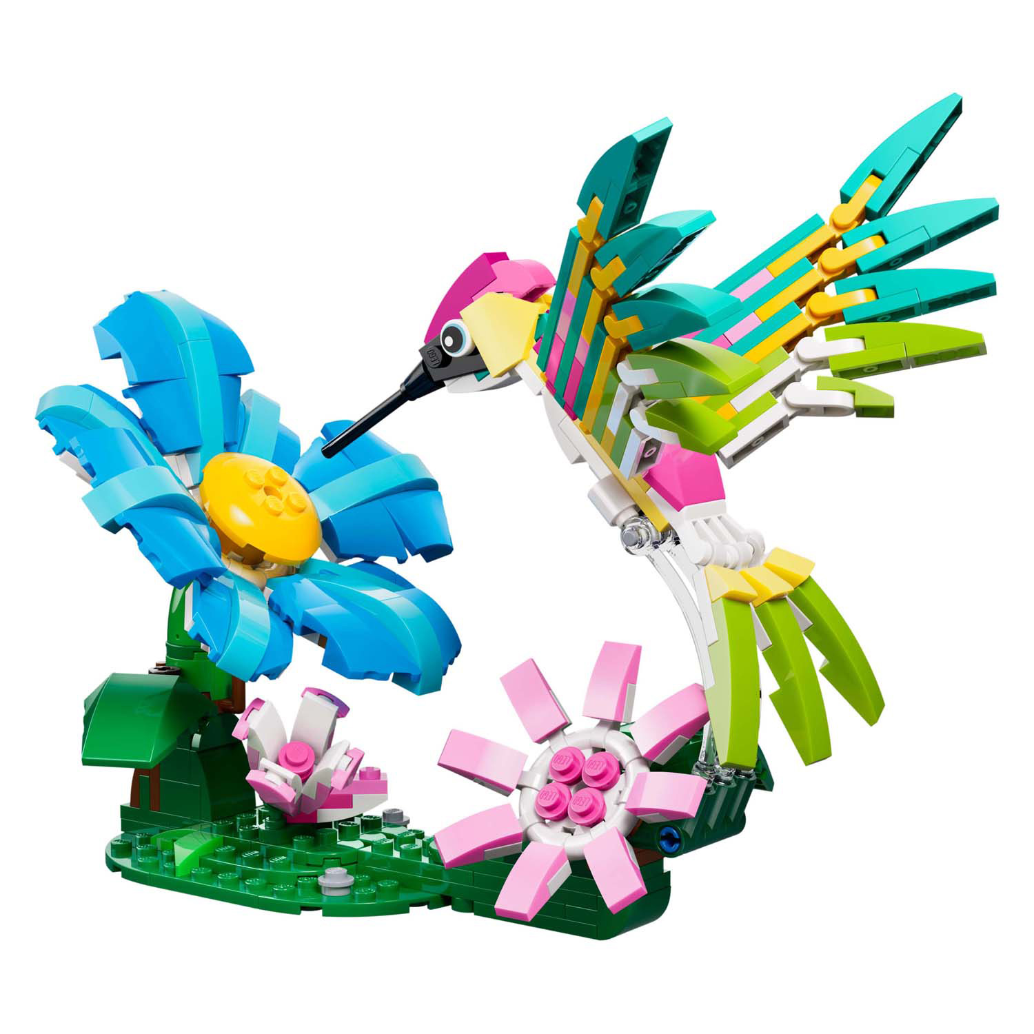LEGO Creator 31384 Animaux sauvages : Colibri coloré
