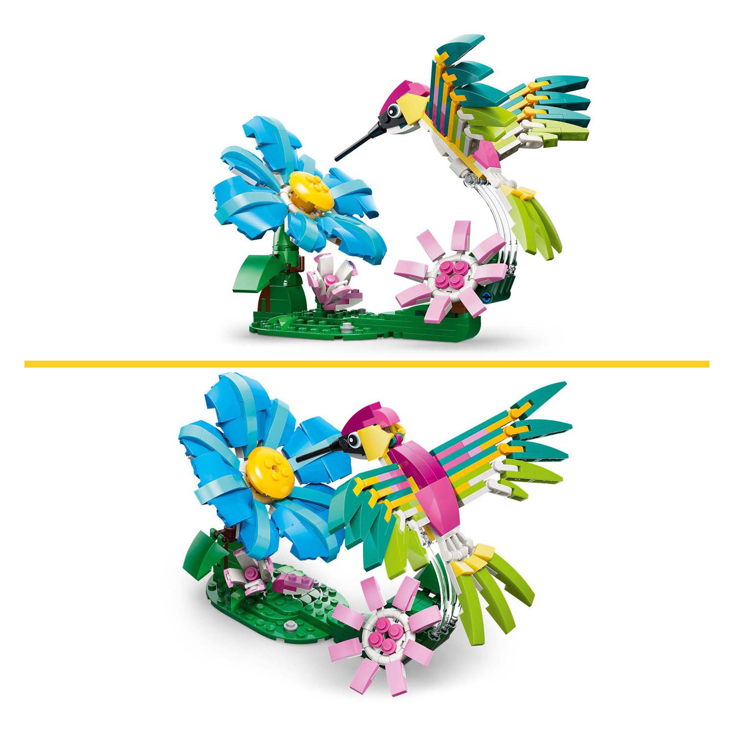 LEGO Creator 31384 Animaux sauvages : Colibri coloré