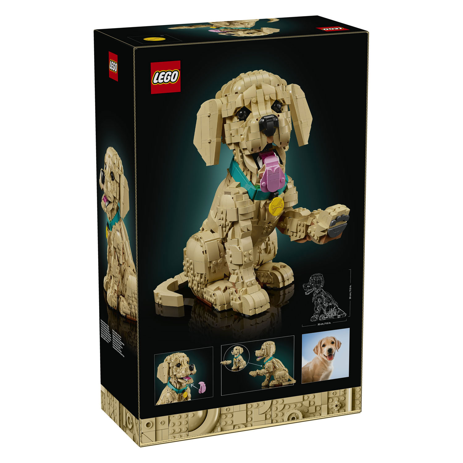LEGO ICONS 11384 Chiot Golden Retriever