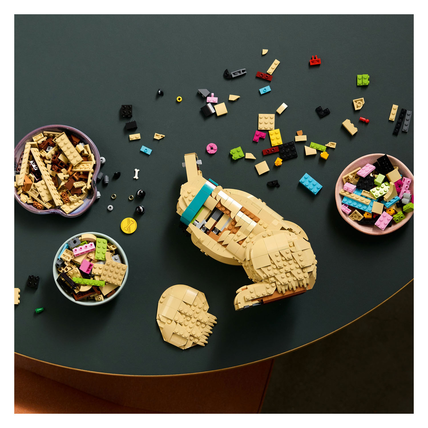 LEGO ICONS 11384 Chiot Golden Retriever