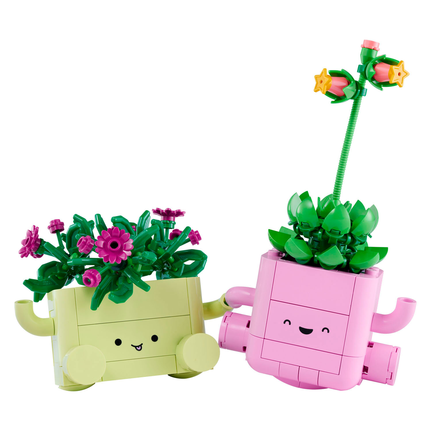 LEGO Botanicals 11506 Plantes suspendues