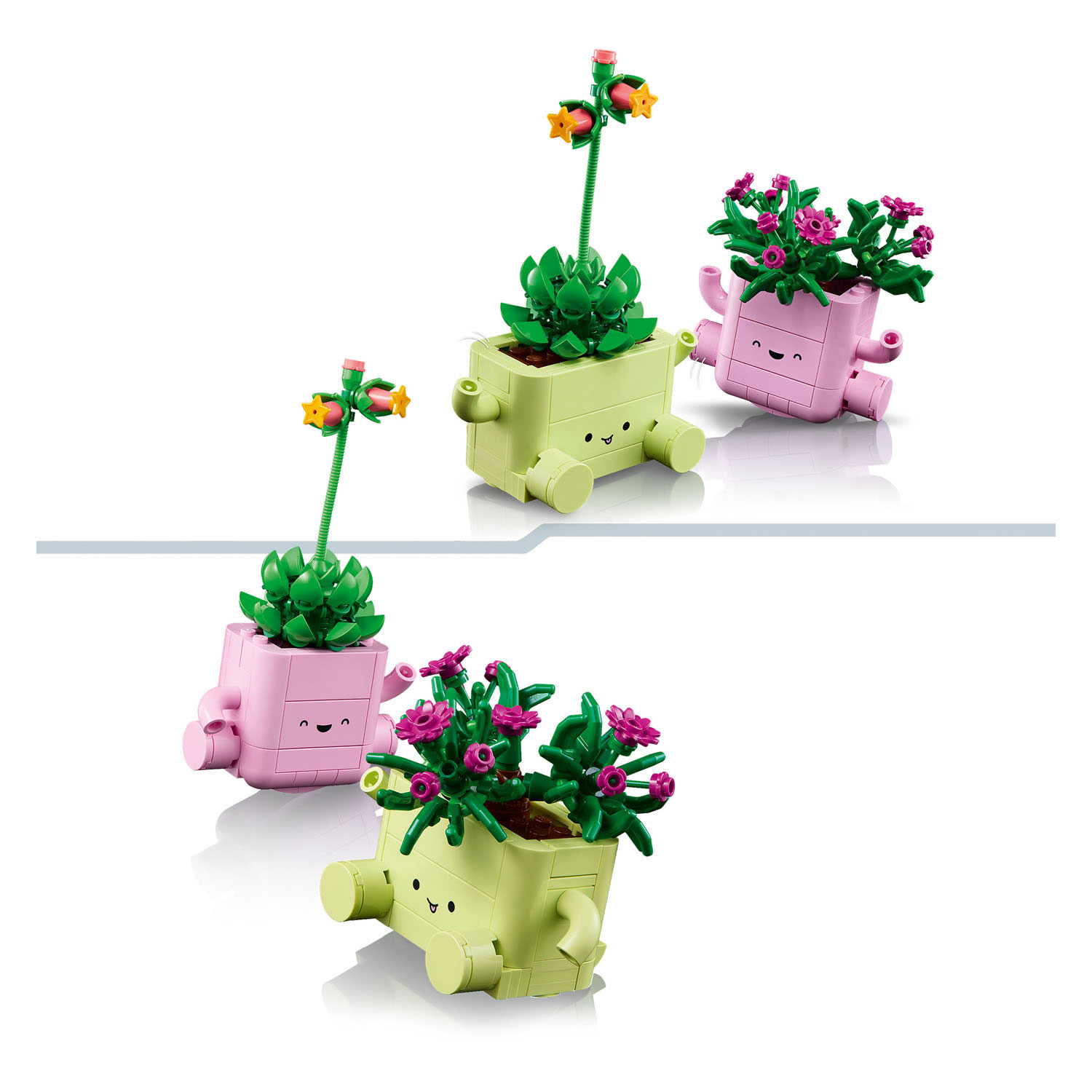 LEGO Botanicals 11506 Plantes suspendues