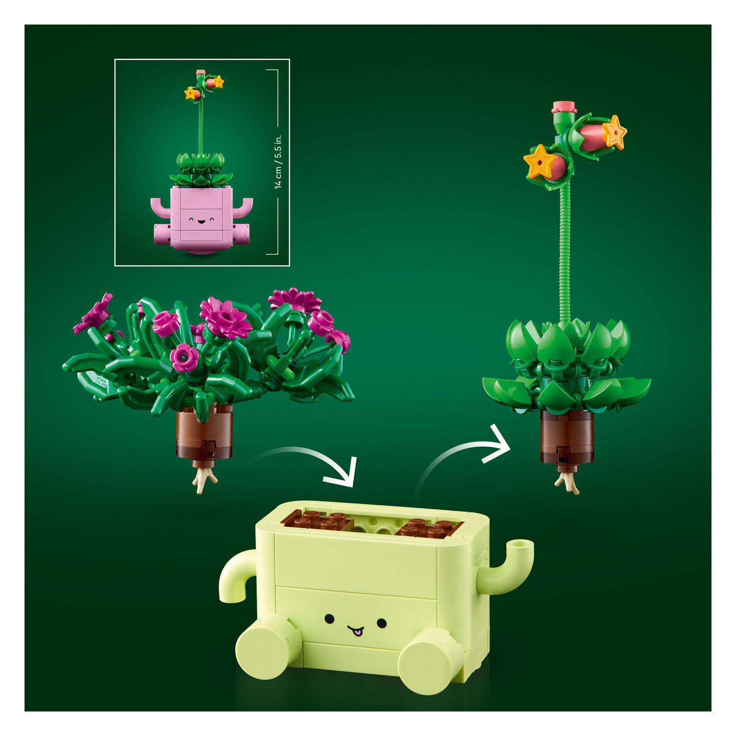 LEGO Botanicals 11506 Plantes suspendues