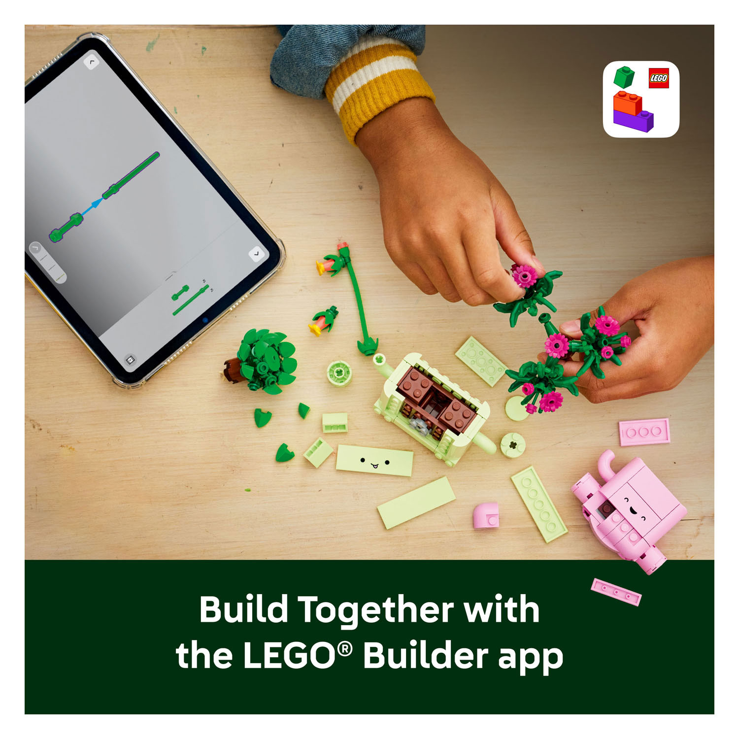 LEGO Botanicals 11506 Plantes suspendues