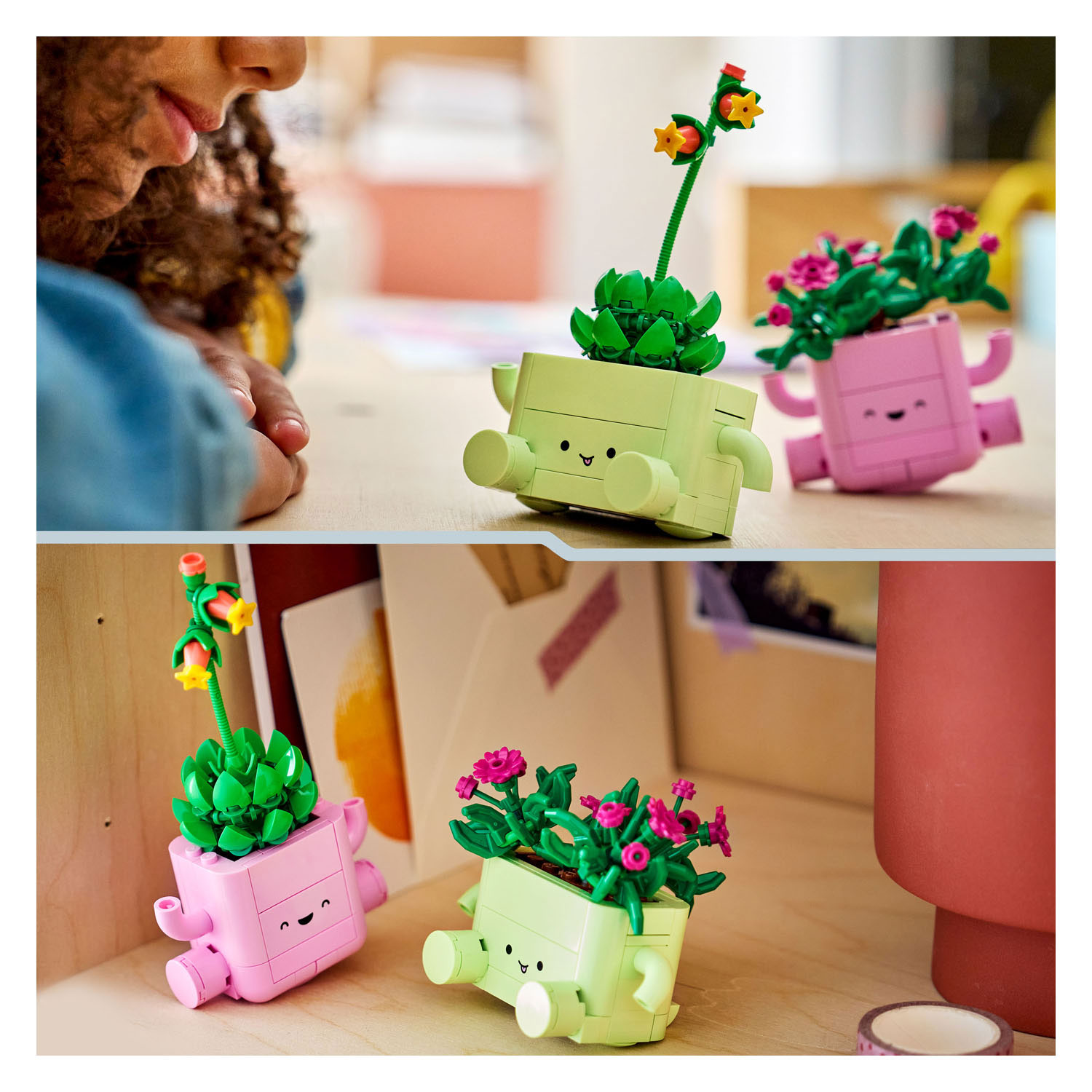 LEGO Botanicals 11506 Plantes suspendues