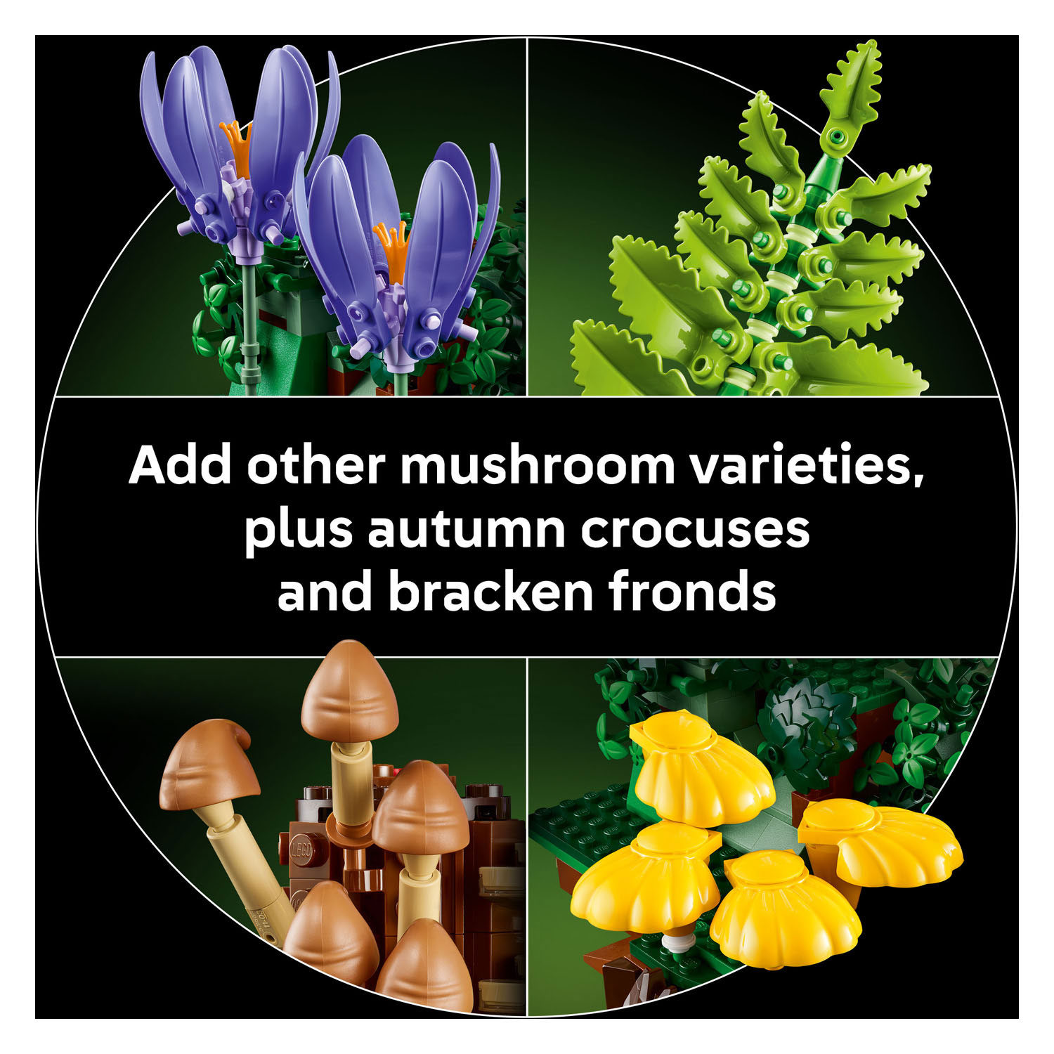 LEGO Botanicals 11505 Bospaddenstoelen