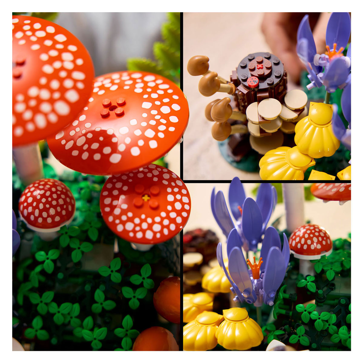LEGO Botanicals 11505 Bospaddenstoelen