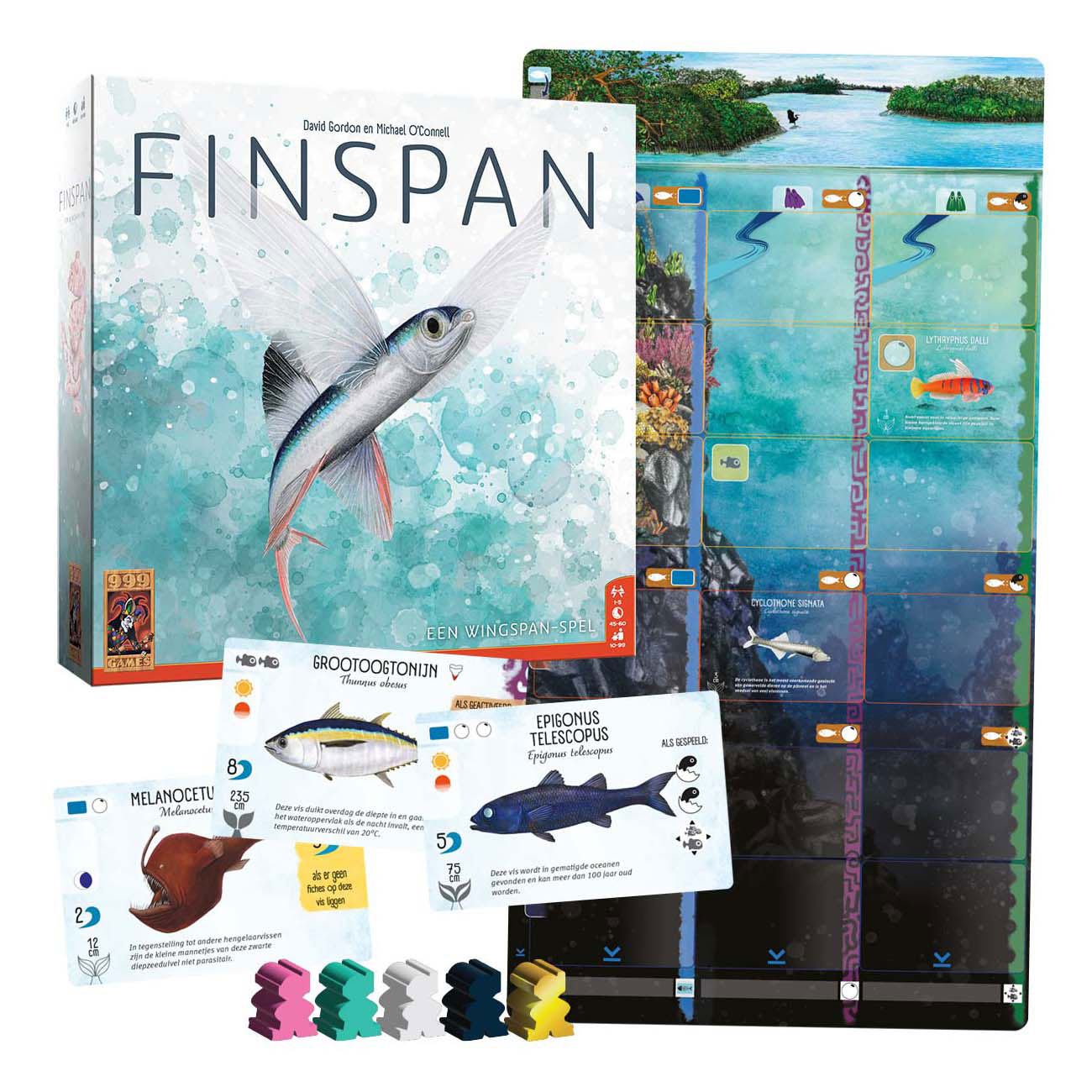 999 Games Finspan Brettspiel