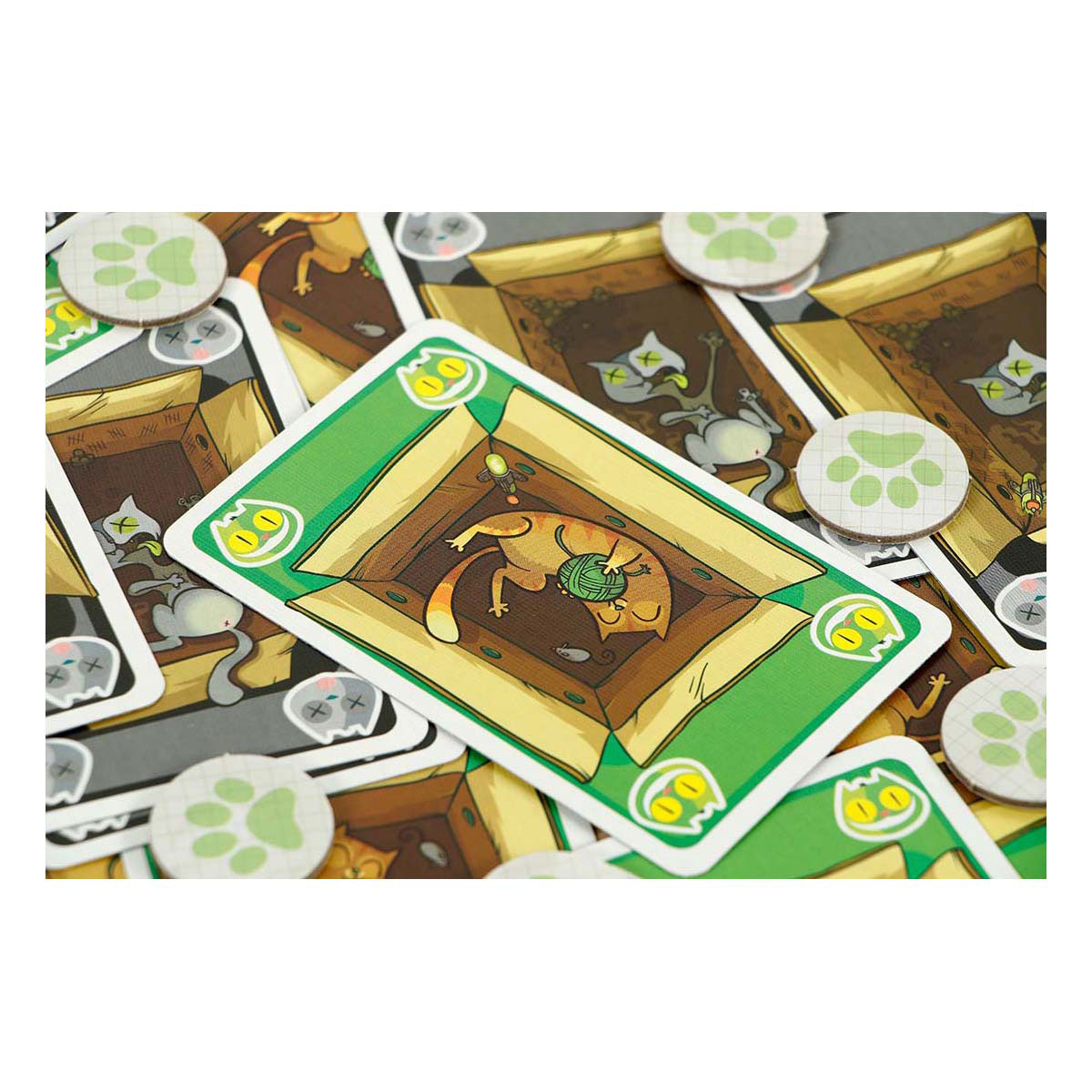999 Games Schrodingers Katten Kaartspel