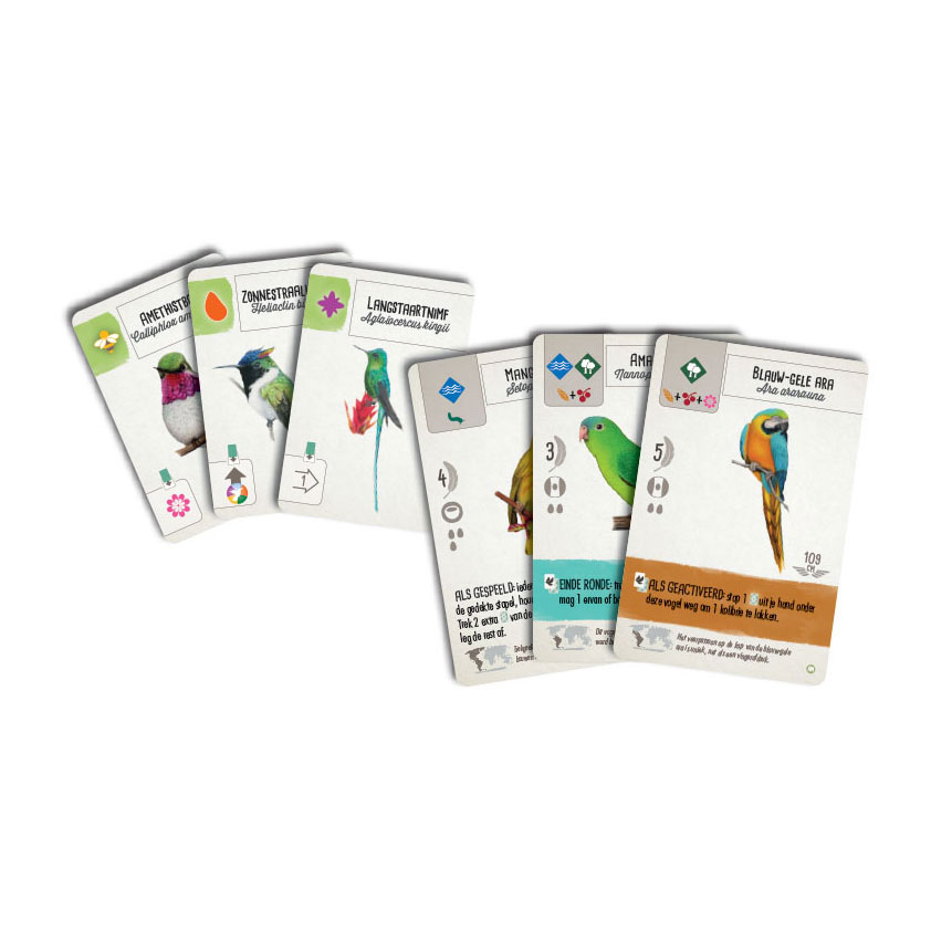 999 Games Wingspan Uitbreiding - Midden- en Zuid-Amerika