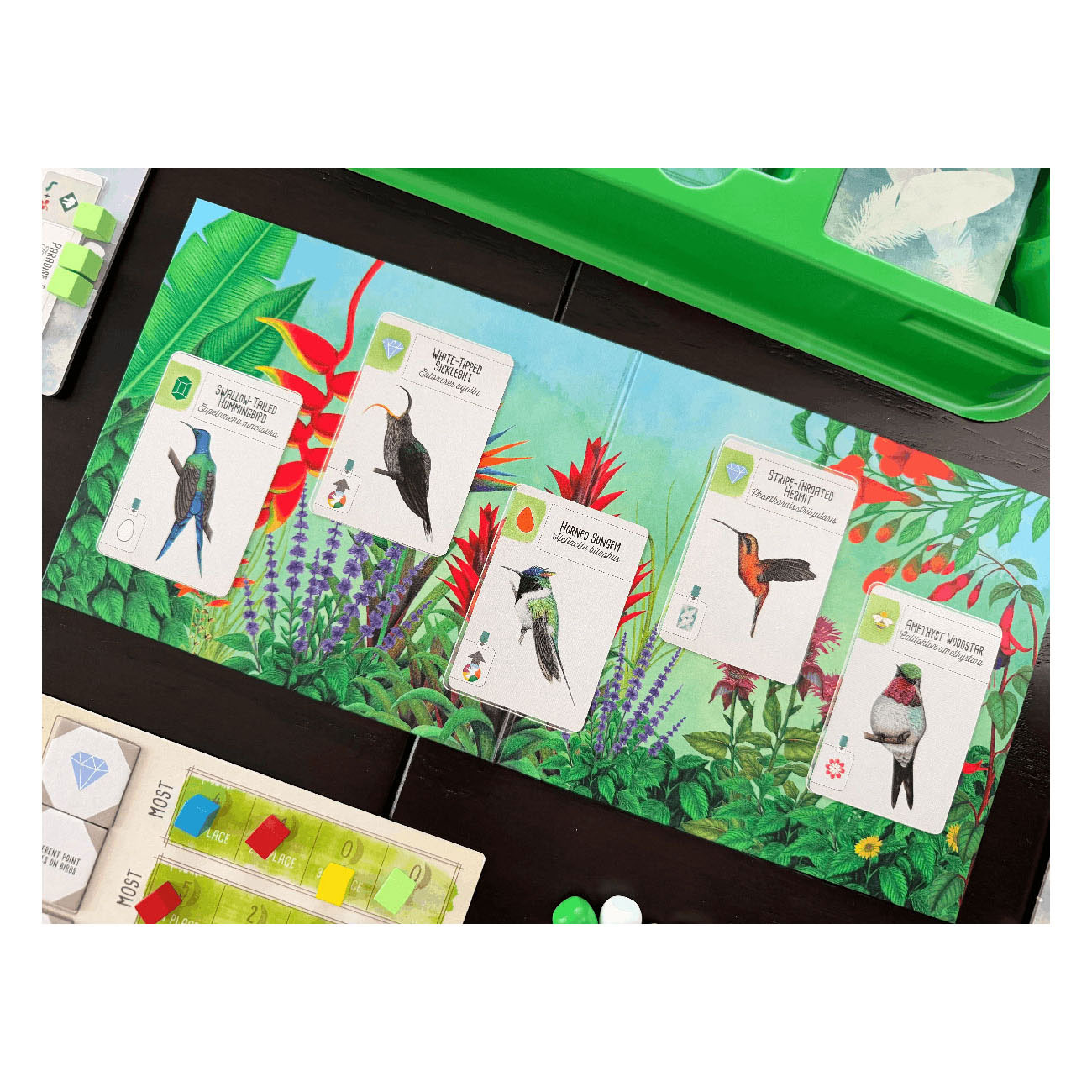 999 Games Wingspan Uitbreiding - Midden- en Zuid-Amerika