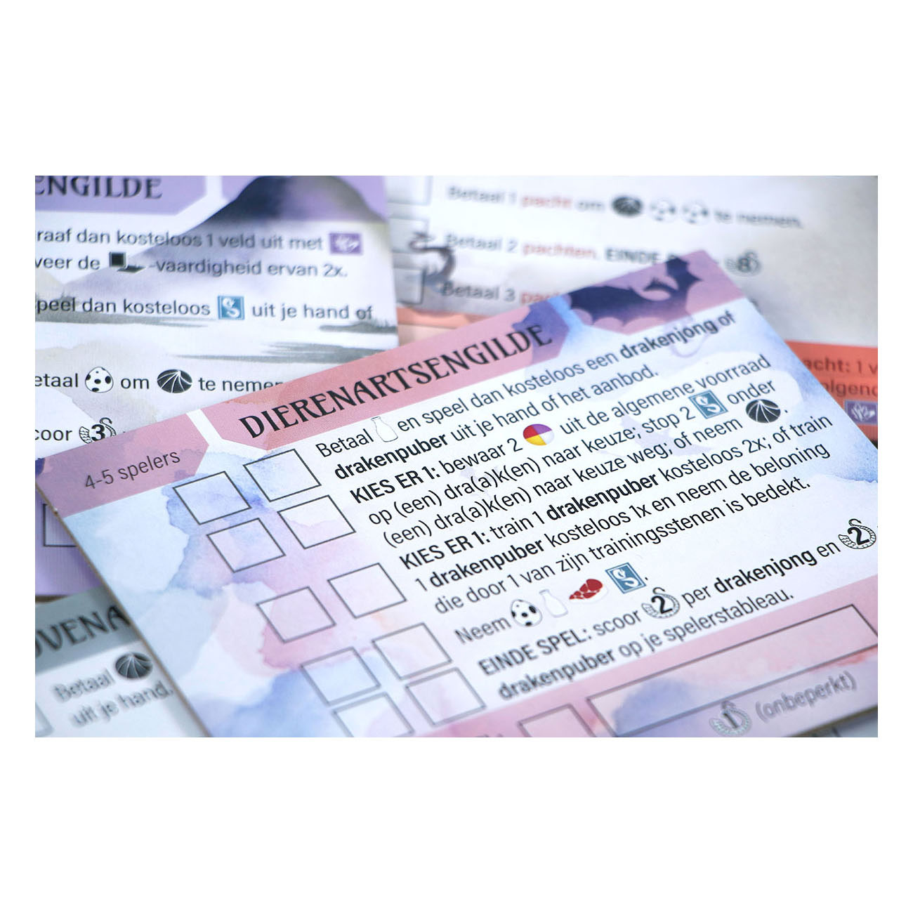 999 Games Wyrmspan Drakenacademie Uitbreiding