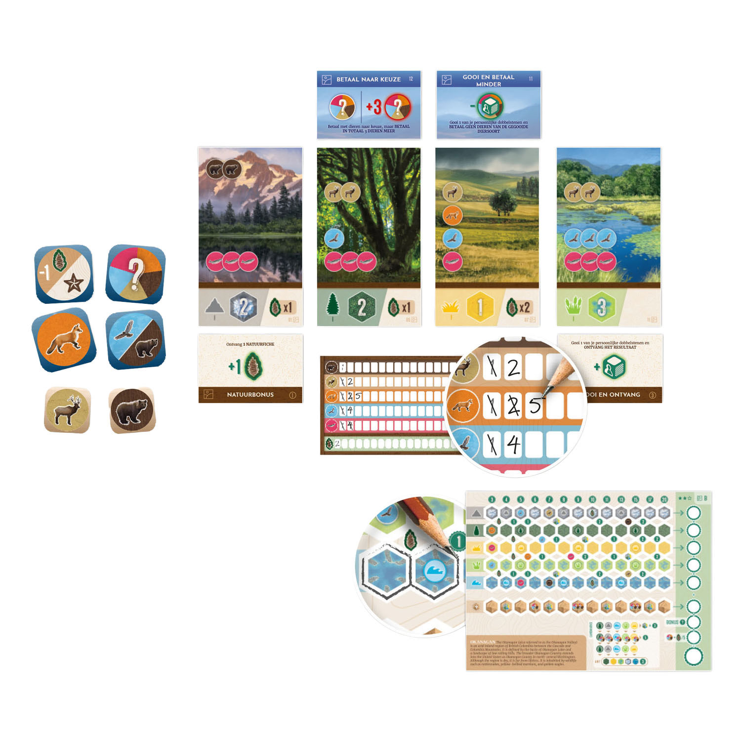 Cascadia - Rolling Hills Bordspel