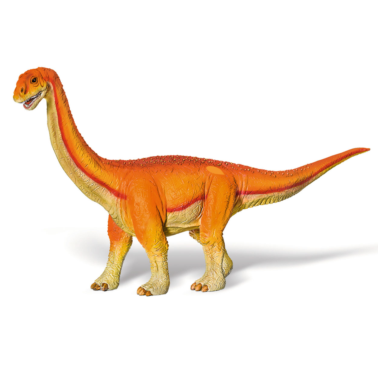 Tiptoi Camarasaurus Klein