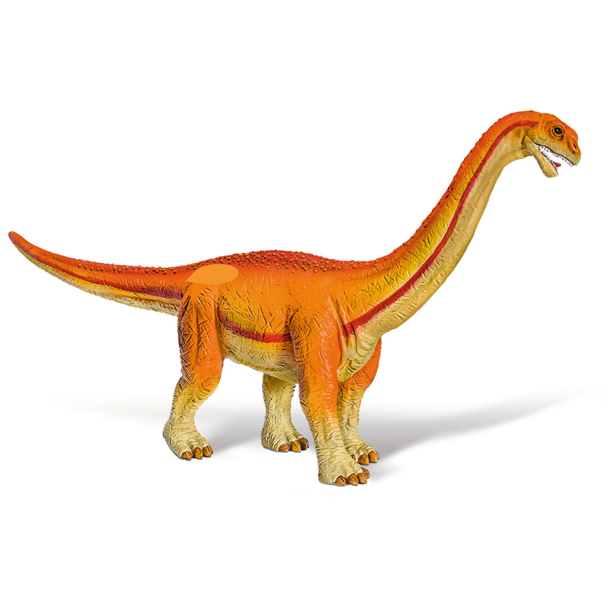 Tiptoi Camarasaurus
