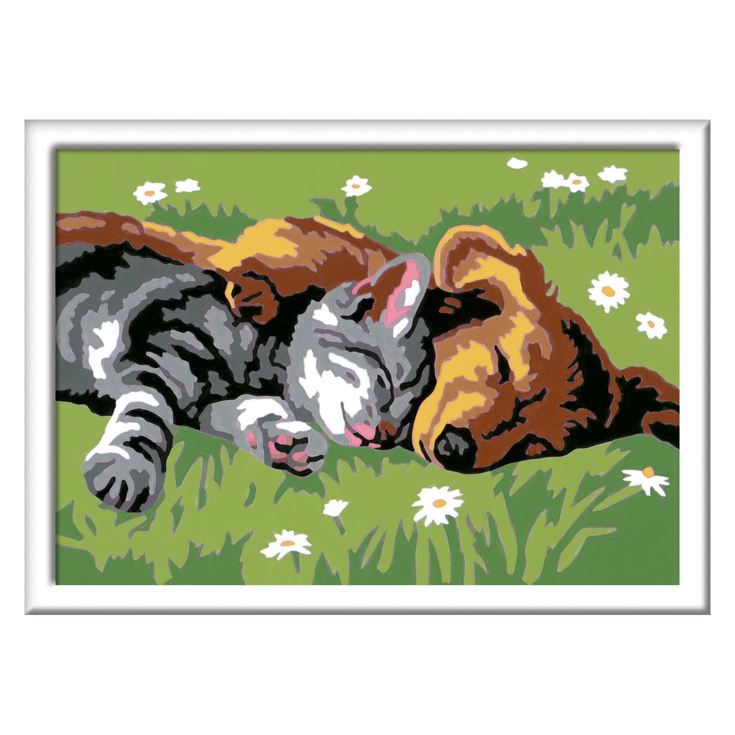 CreArt Schilderen op Nummer - Slapende Katten en Honden