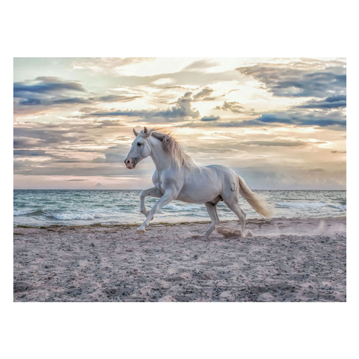 Puzzle Pferd am Strand, 500 Teile.