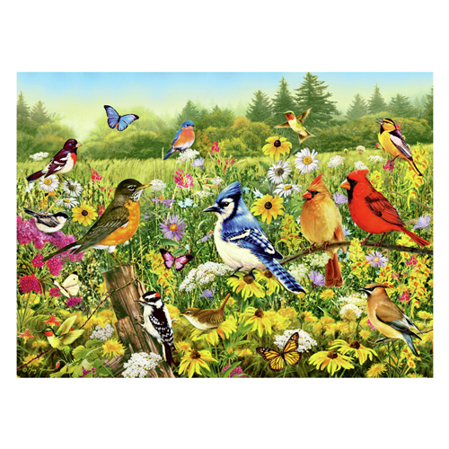 Puzzle Oiseaux dans la prairie, 1000 pcs.