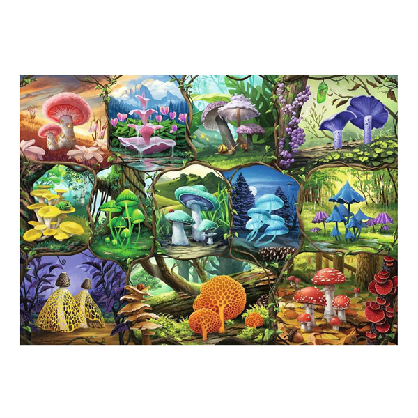 Puzzle Beaux Champignons, 1000 pcs.