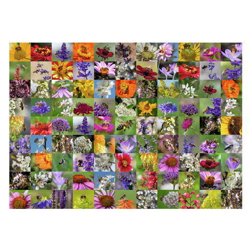 Puzzle 99 Abeilles, 1000 pcs.