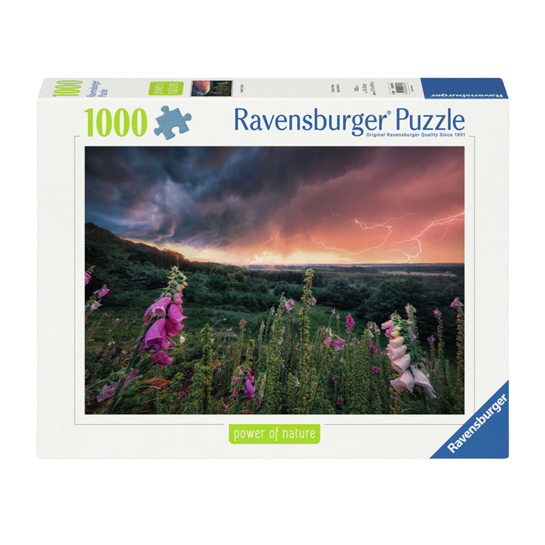 Puzzle Ein Sturm zieht auf, 1000 Teile.