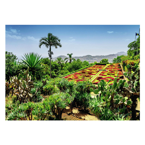 Puzzle Jardin Botanique, Madère, 1000 pcs.