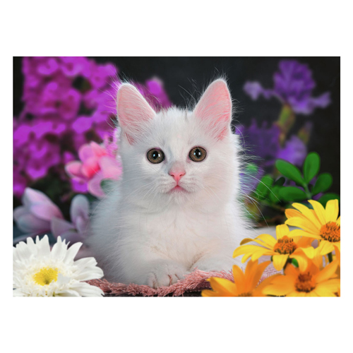 Puzzle XXL Beau Chaton, 100 pcs.