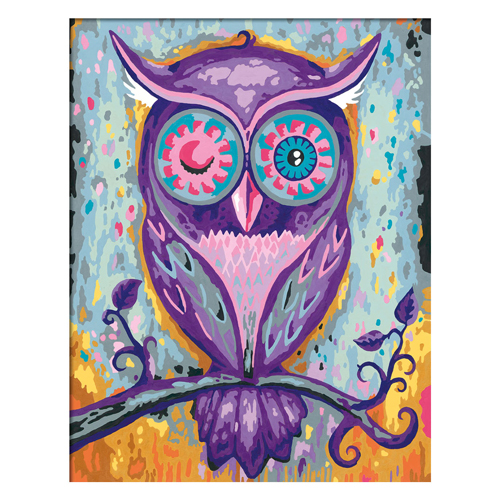 CreArt Schilderen op Nummer - Dreaming Owl