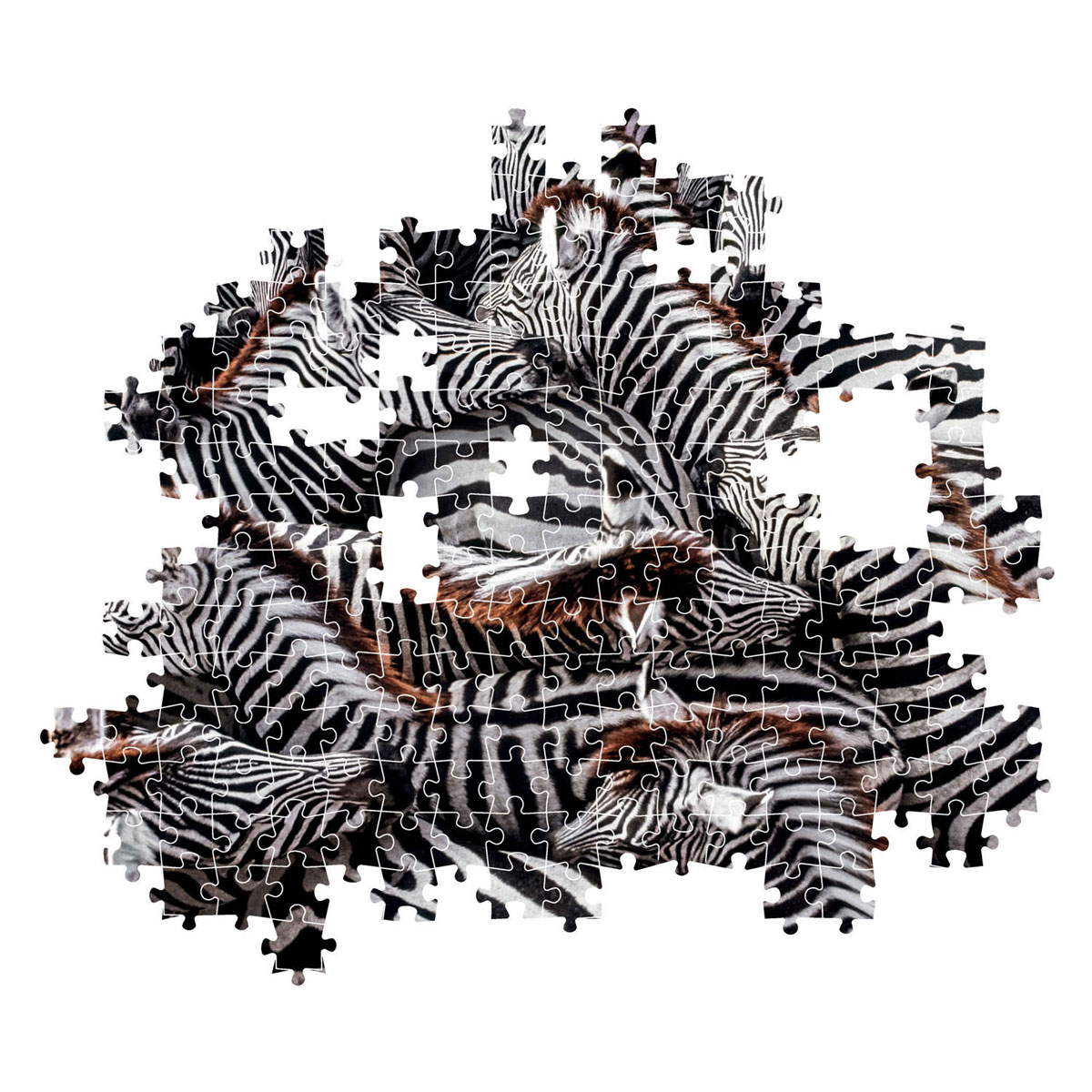 Clementoni Puzzle National Geographic - Zèbre, 1000 pcs.